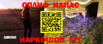 Альфа ПВП Обнинск