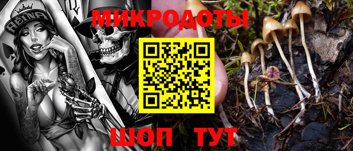 Галлюциногенные грибы Magic Shrooms  наркота  Северодвинск  Вход с VPN 